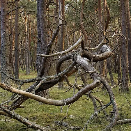 Prázdninový dům Smoldzinski 45